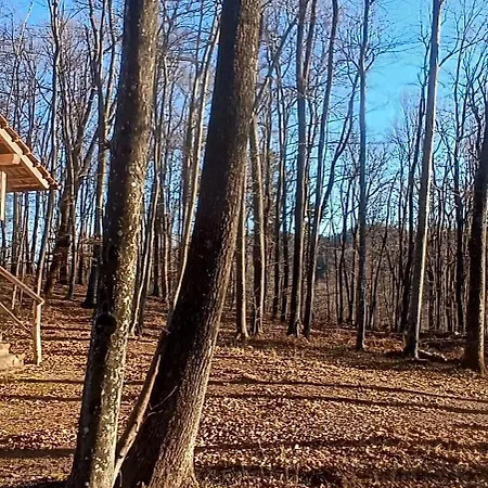 Cowboy House At Ranch Lambergar