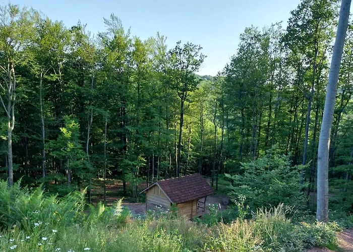 Ferienhaus Cowboy House At Ranch Lambergar