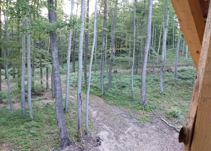 別荘 Cowboy House At Ranch Lambergar